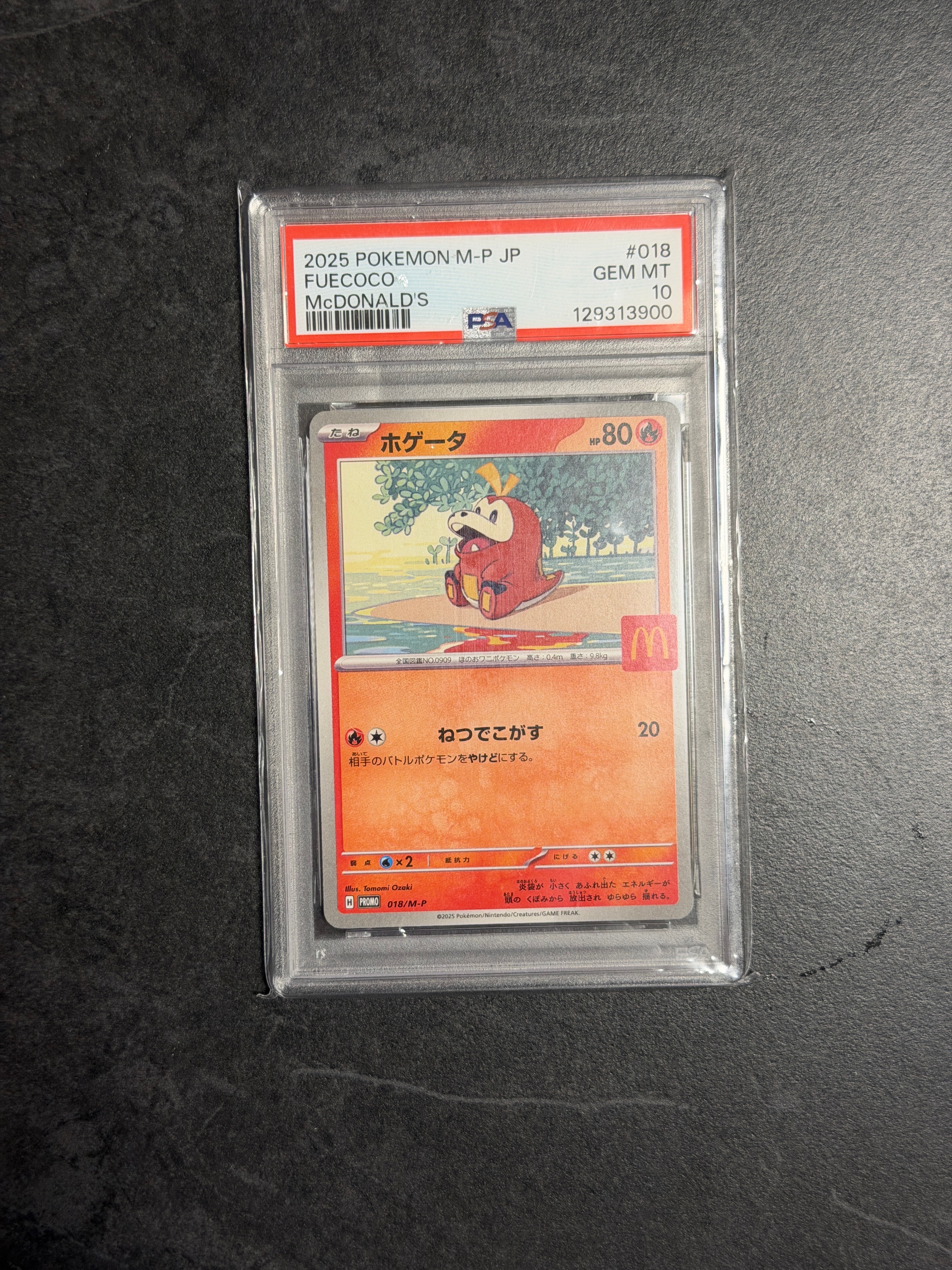 PSA10】ホゲータ P [M-P 018](プロモカードパック「マクドナルド