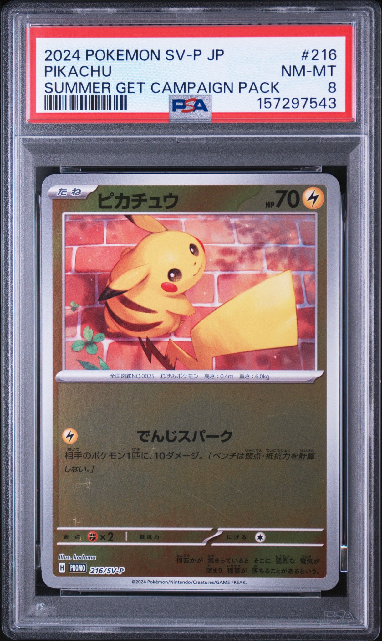 PSA10】ピカチュウ P [SV-P 216](プロモカードパック「ポケカの夏が