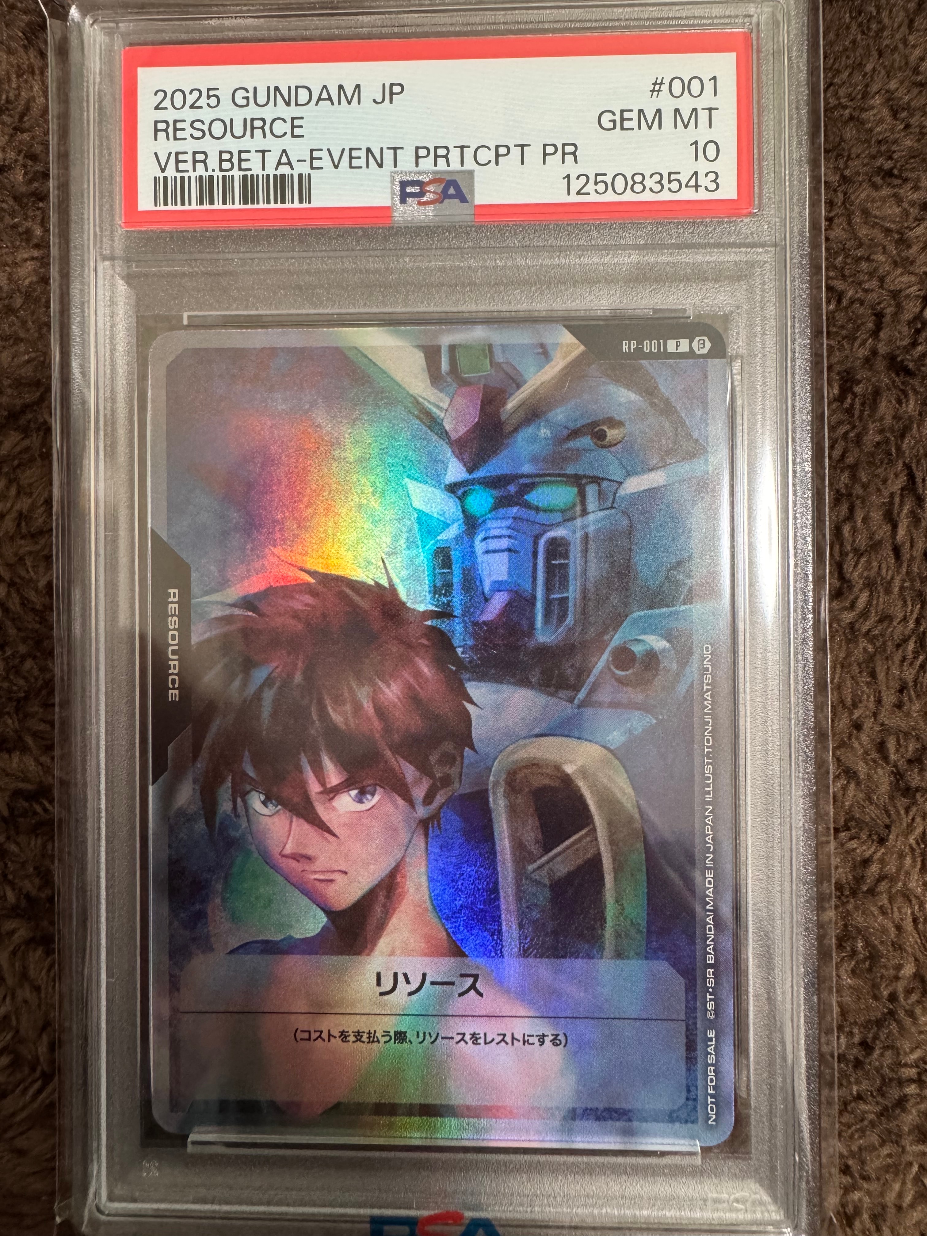 リソース (ヒイロ&ウイングガンダム) P [RP-001](プロモーションカード「GUNDAM NEXT FUTURE FINAL来場記念品」)