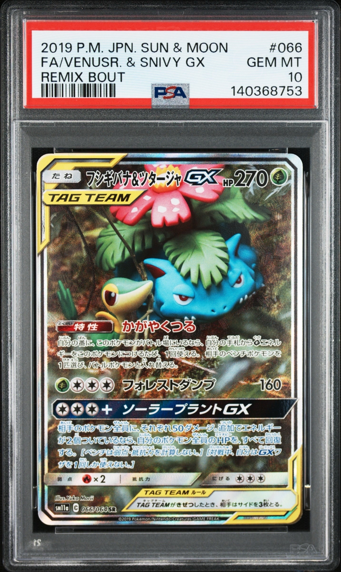 フシギバナ&ツタージャGX SR: SA[SM11a 066/064](強化拡張パック「リミックスバウト」)