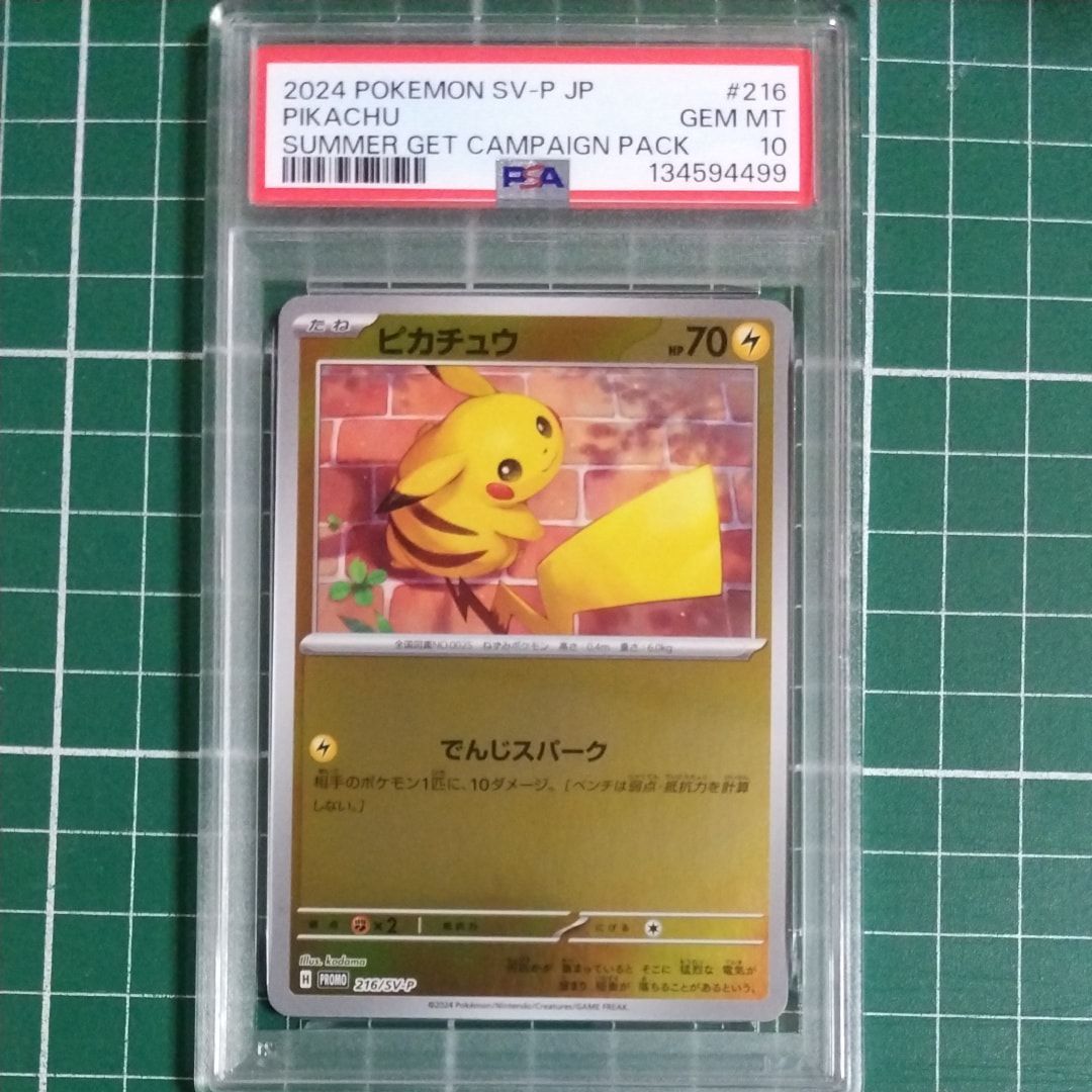 ピカチュウ P [SV-P 216](プロモカードパック「ポケカの夏がキタ!プロモカードGetキャンペーン!」)