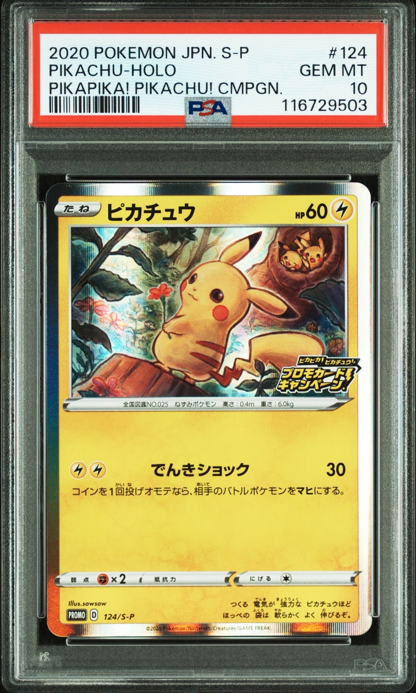 PSA10】ピカチュウ: プロモ P [S-P 124](ピカピカ！ピカチュウ！プロモ