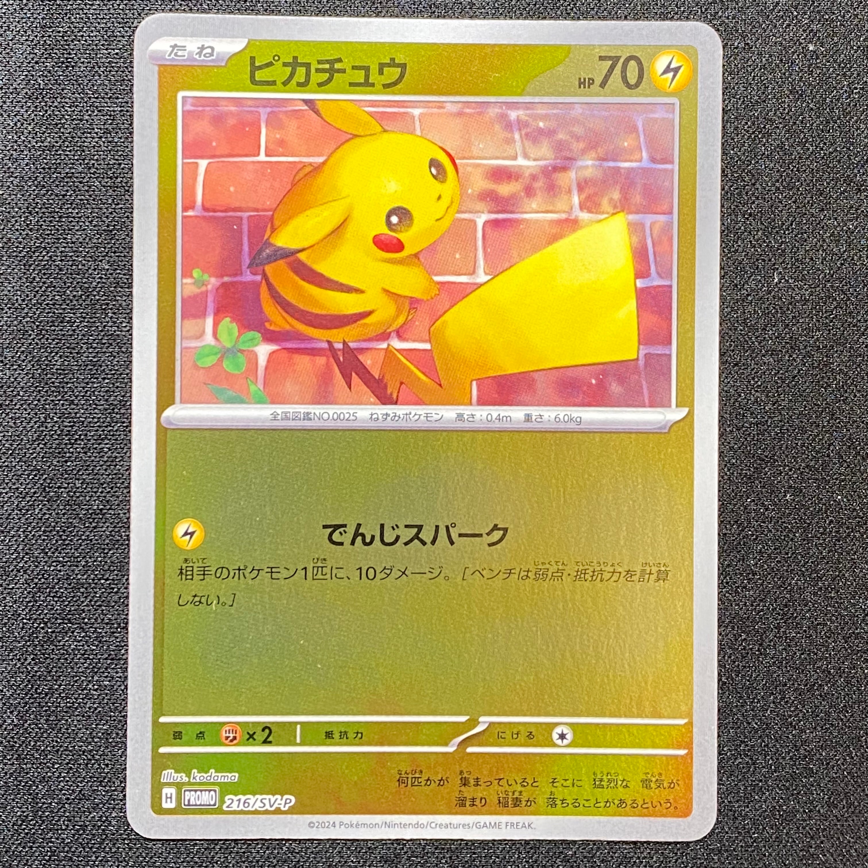 ピカチュウ P [SV-P 216](プロモカードパック「ポケカの夏がキタ