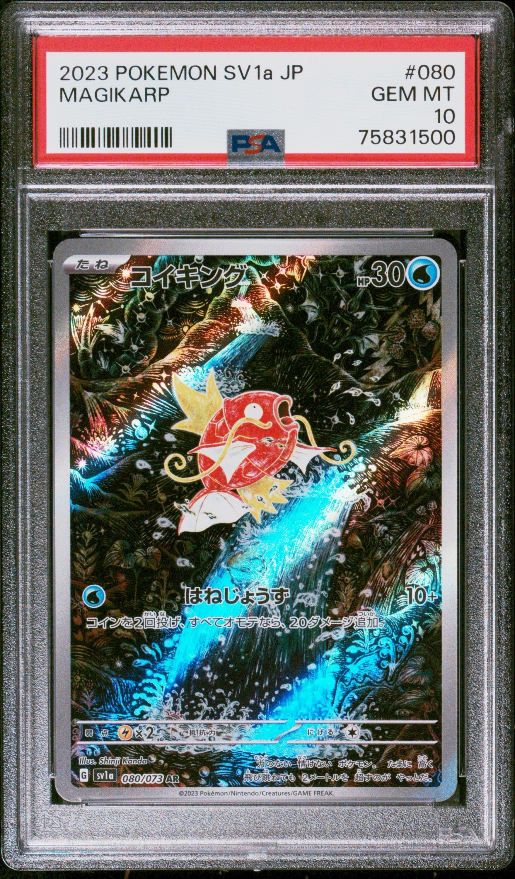 コイキング AR[SV1a 080/073](スカーレット&バイオレット 拡張パック「トリプレットビート」)