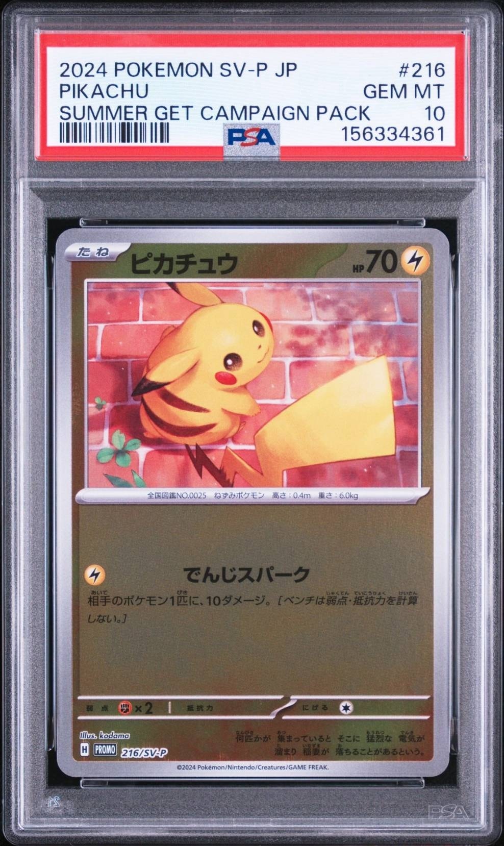 ピカチュウ P [SV-P 216](プロモカードパック「ポケカの夏がキタ
