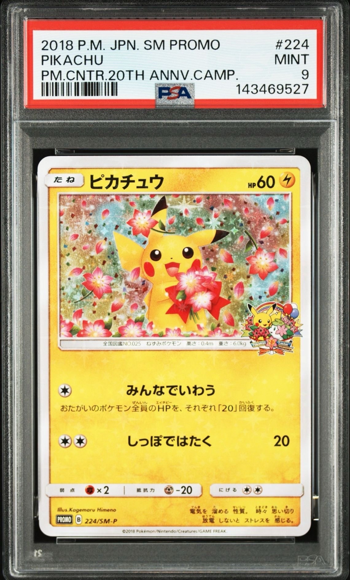 ピカチュウ: プロモ[SM-P 224](プロモーションカード「SM-P」)の新品