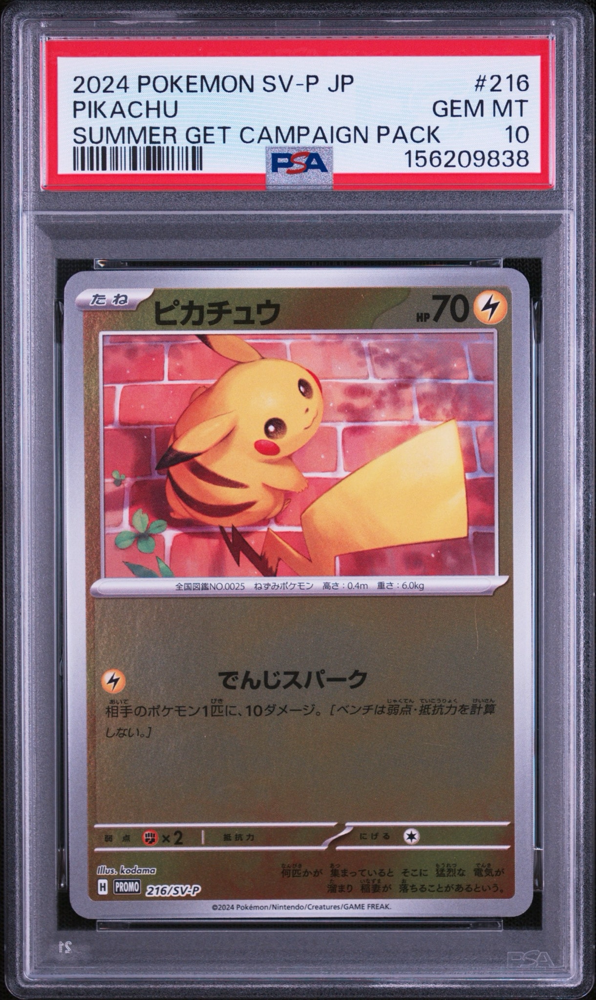 Pikachu - 216/SV-P