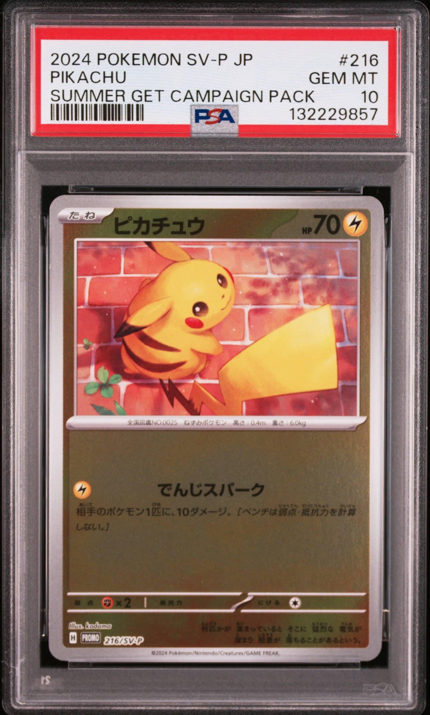 状態C】ピカチュウ P [SV-P 216](プロモカードパック「ポケカの夏が