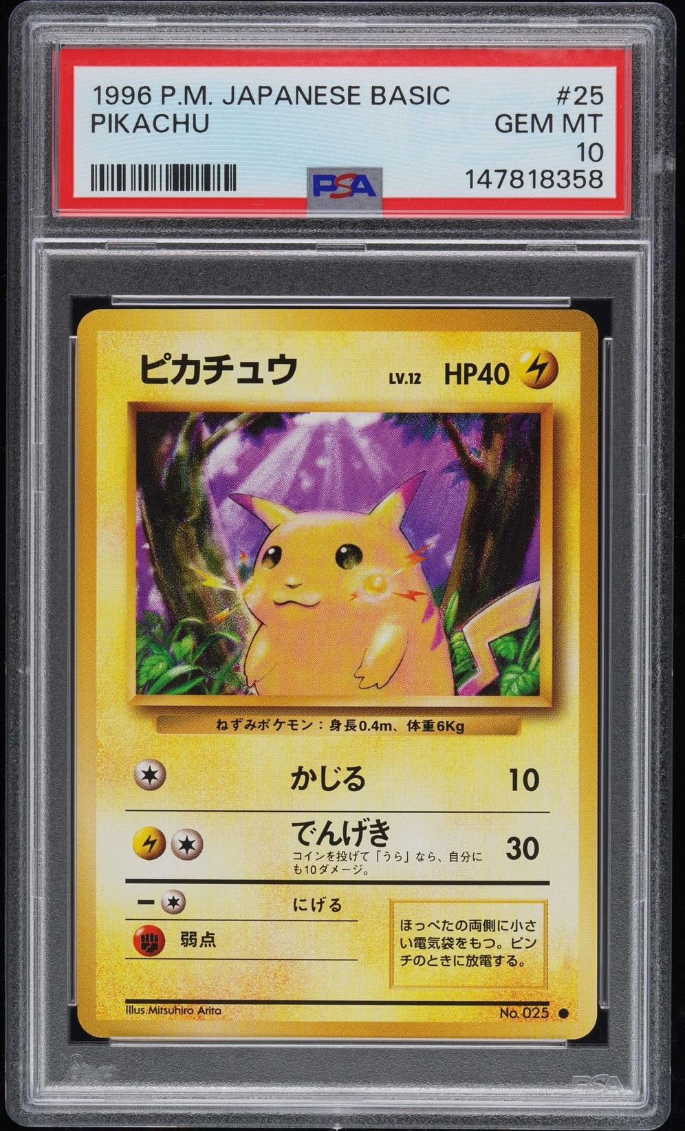ピカチュウ ● : 旧裏 [PMCG1-2](拡張パック「ポケットモンスター カードゲーム」再販)