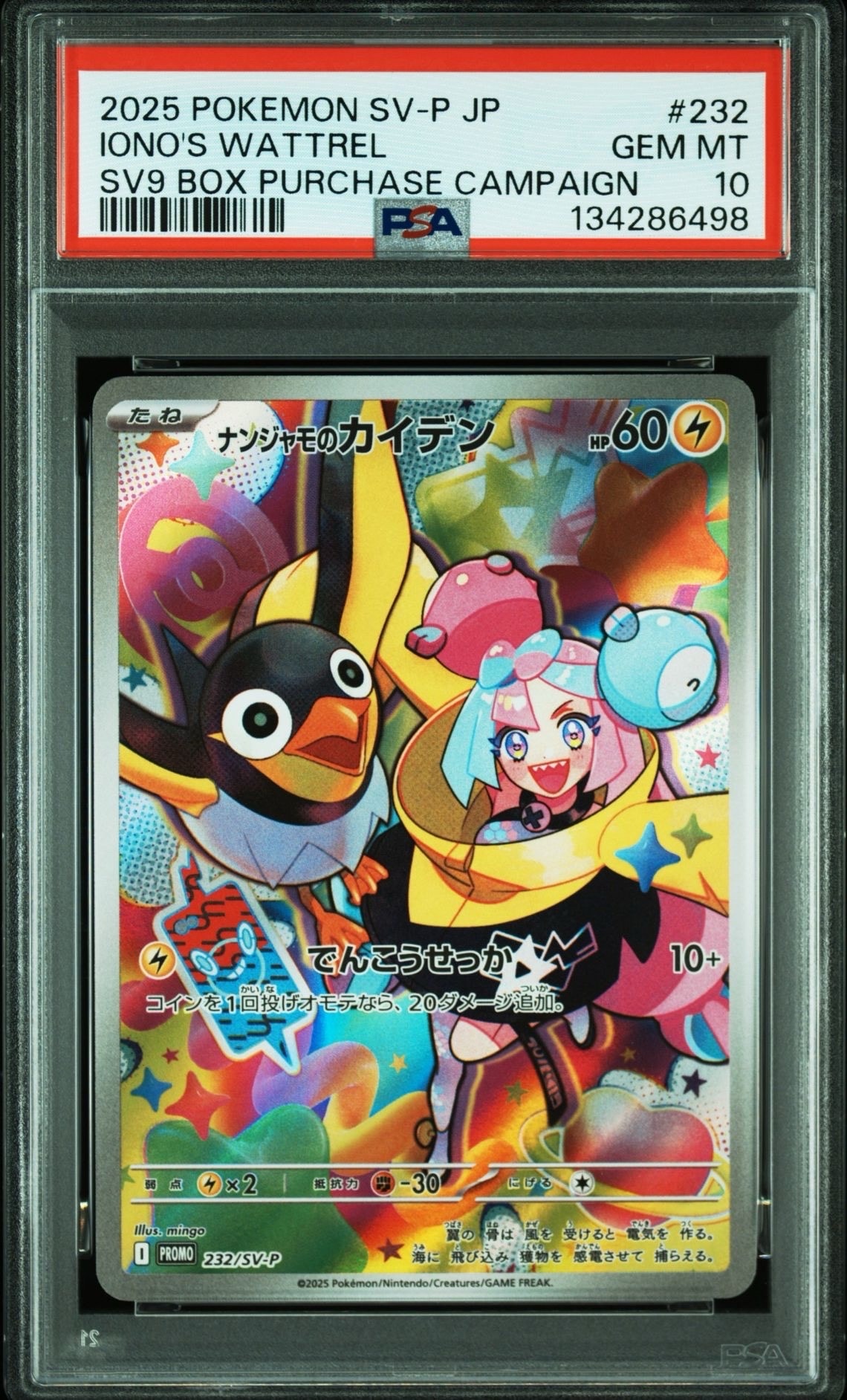 ナンジャモのカイデン P [SV-P 232](プロモーションカード「拡張パック バトルパートナーズ Box購入キャンペーン」)