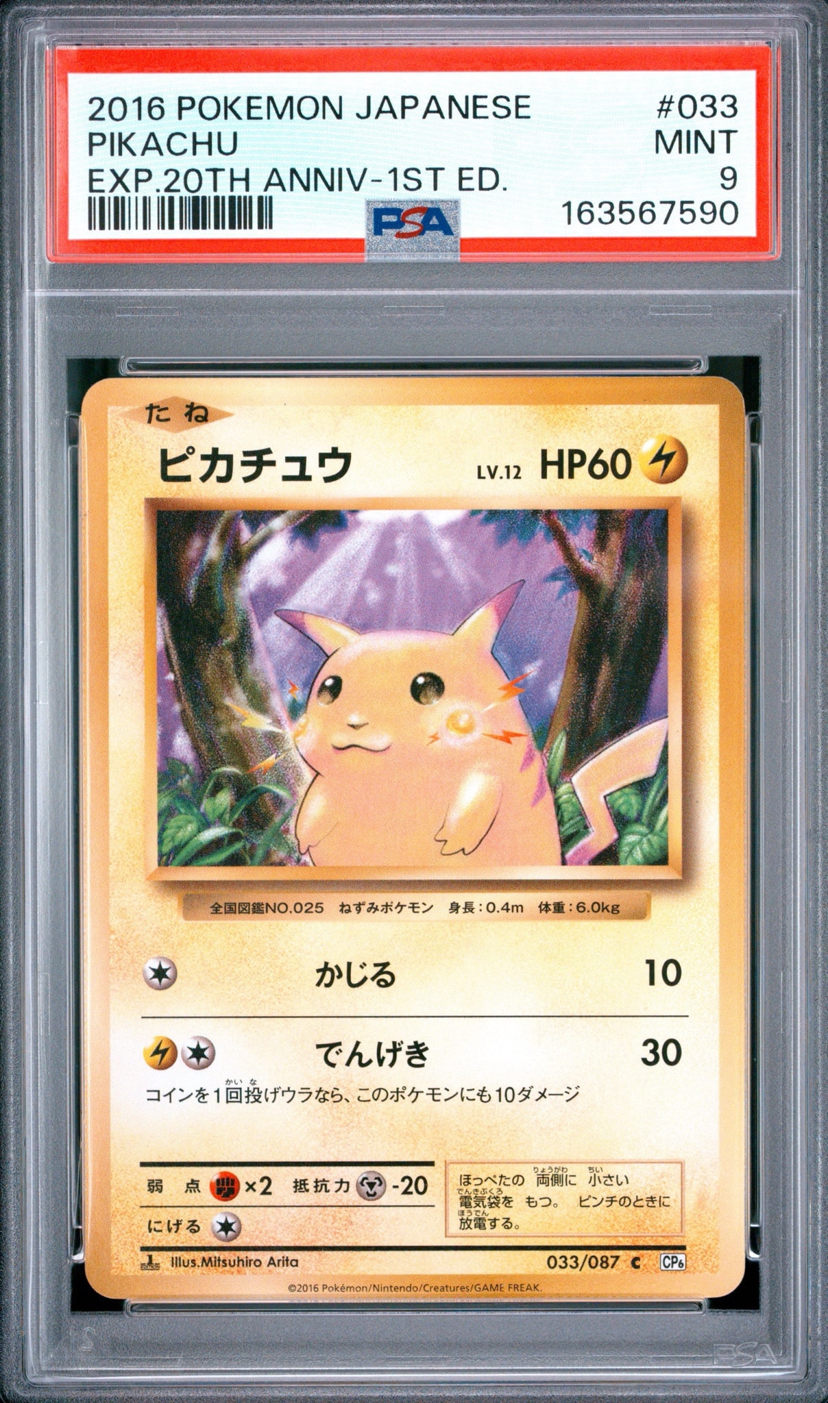 ピカチュウ C :1ED [CP6 033/087](コンセプトパック