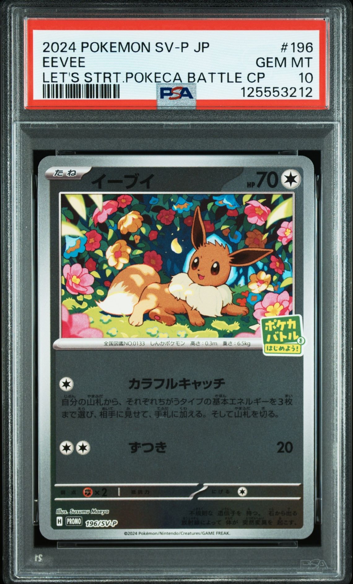 イーブイ P [SV-P-SM 196](プロモカードパック「ポケカバトルをはじめよう!キャンペーン」)