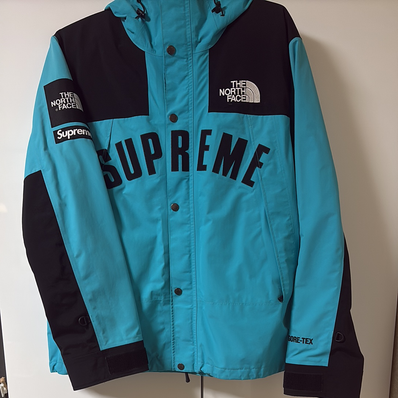 Supreme x The North Face Arc Logo Mountain Parka "Blue"