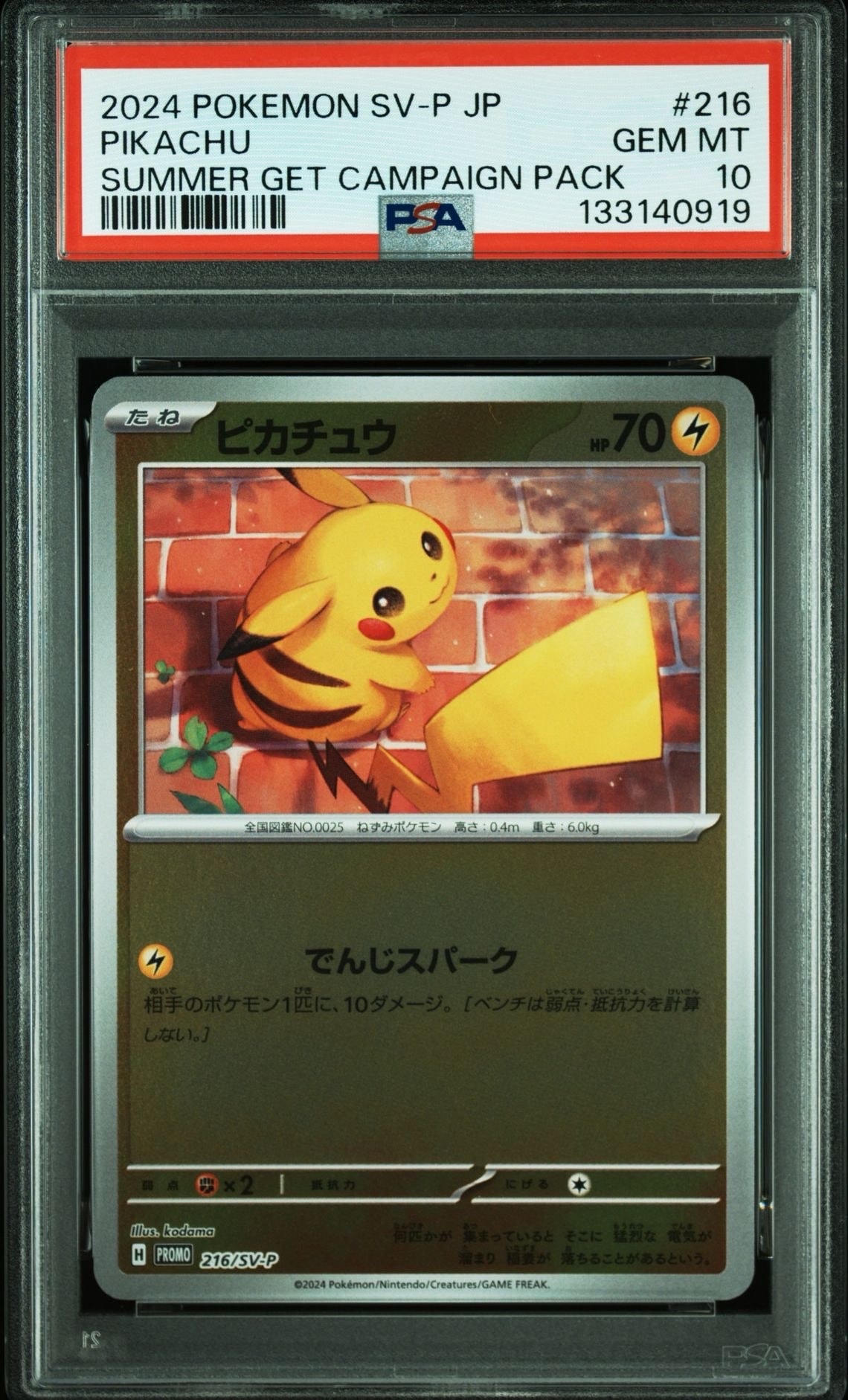 ピカチュウ P [SV-P 216](プロモカードパック「ポケカの夏がキタ!プロモカードGetキャンペーン!」)