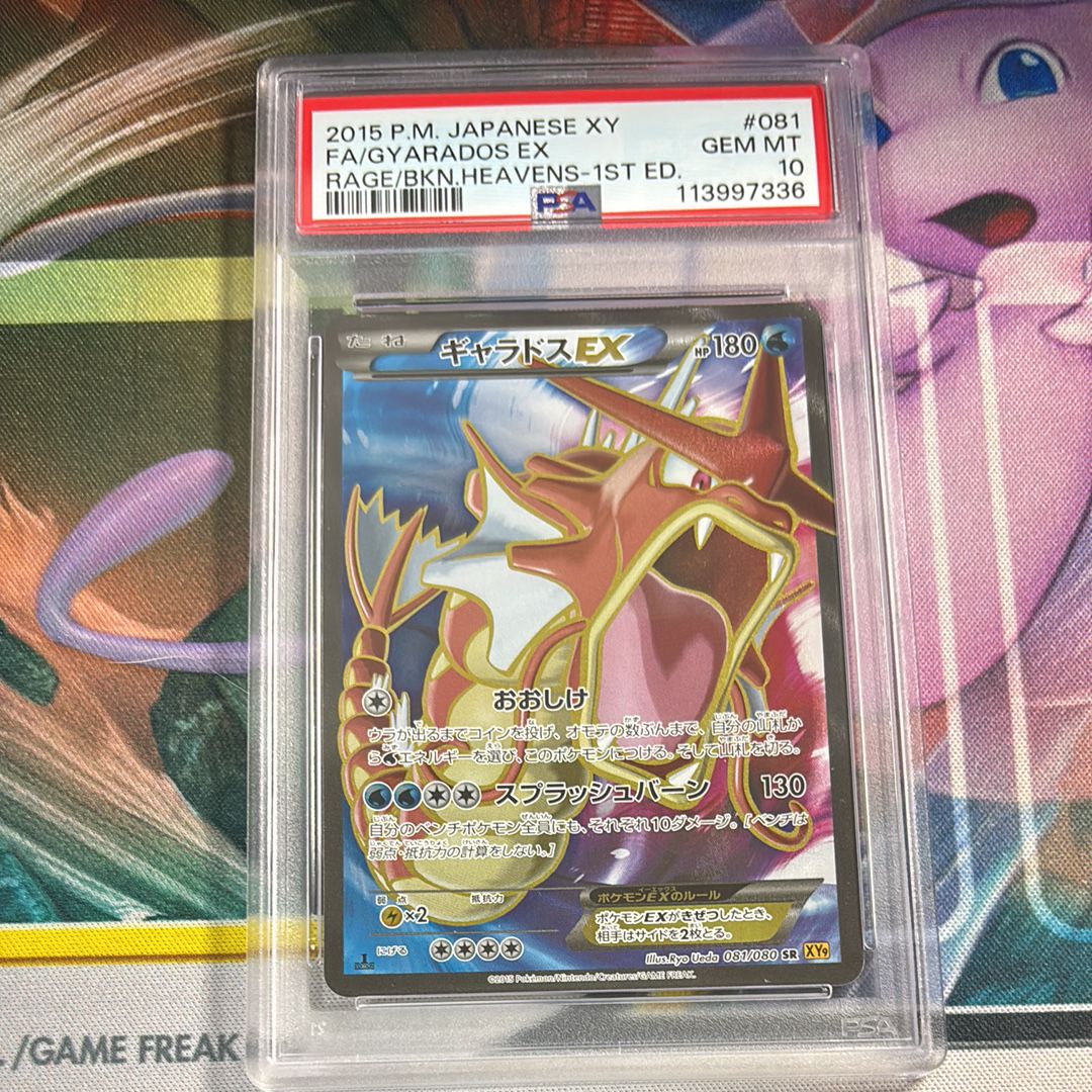 PSA10】ギャラドスEX SR [XY9 081/080](拡張パック「破天の怒り