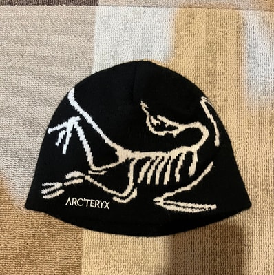 ARC'TERYX Bird Head Toque "Orca"