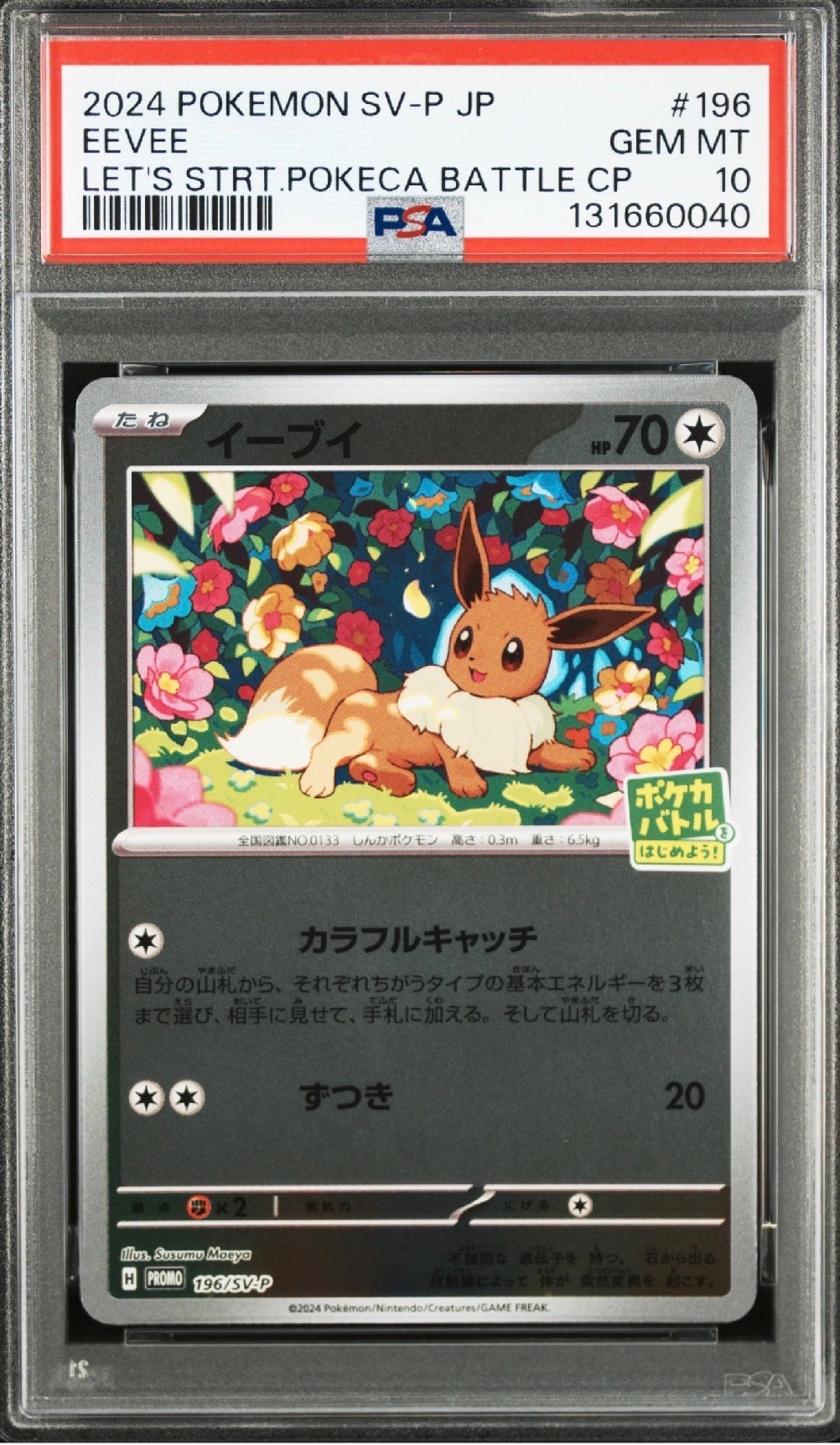 イーブイ P [SV-P-SM 196](プロモカードパック「ポケカバトルをはじめよう!キャンペーン」)