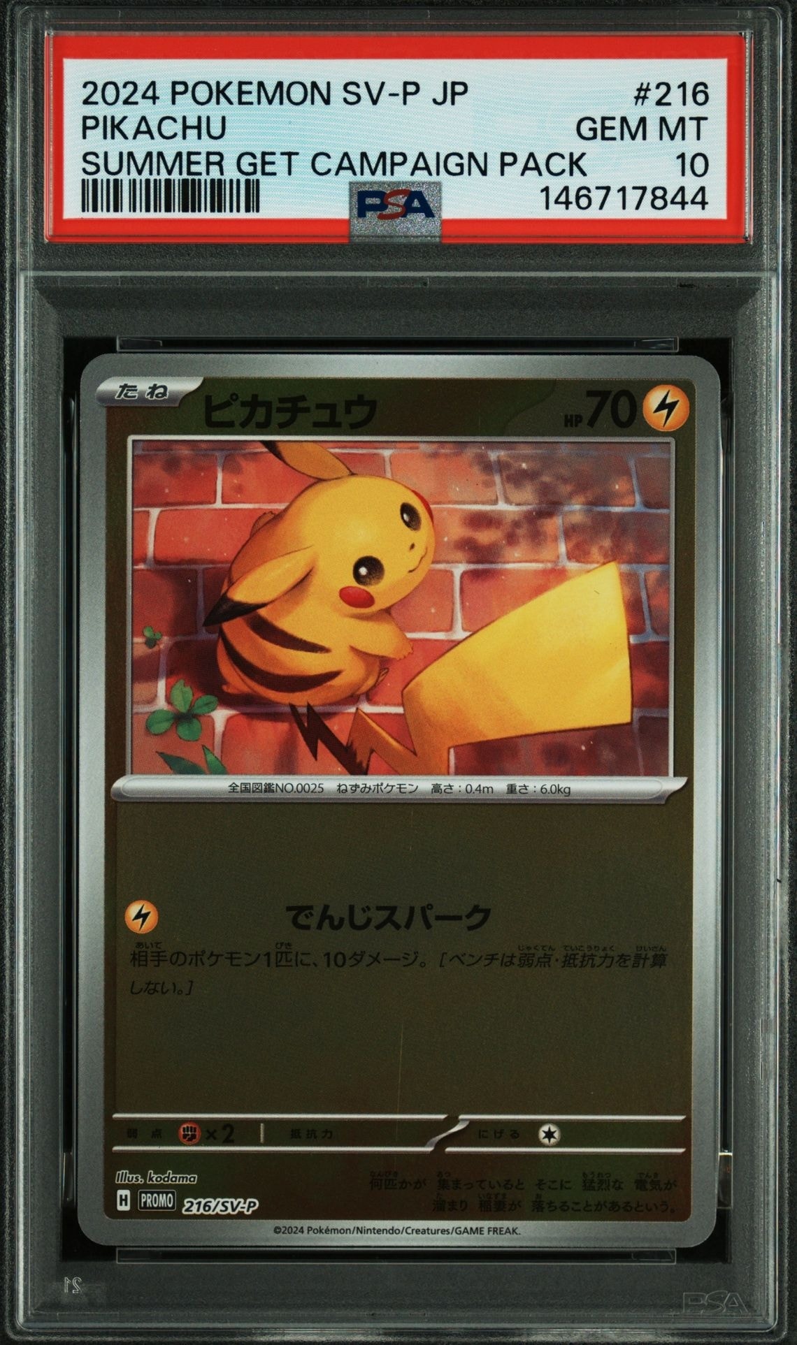 ピカチュウ P [SV-P 216](プロモカードパック「ポケカの夏がキタ