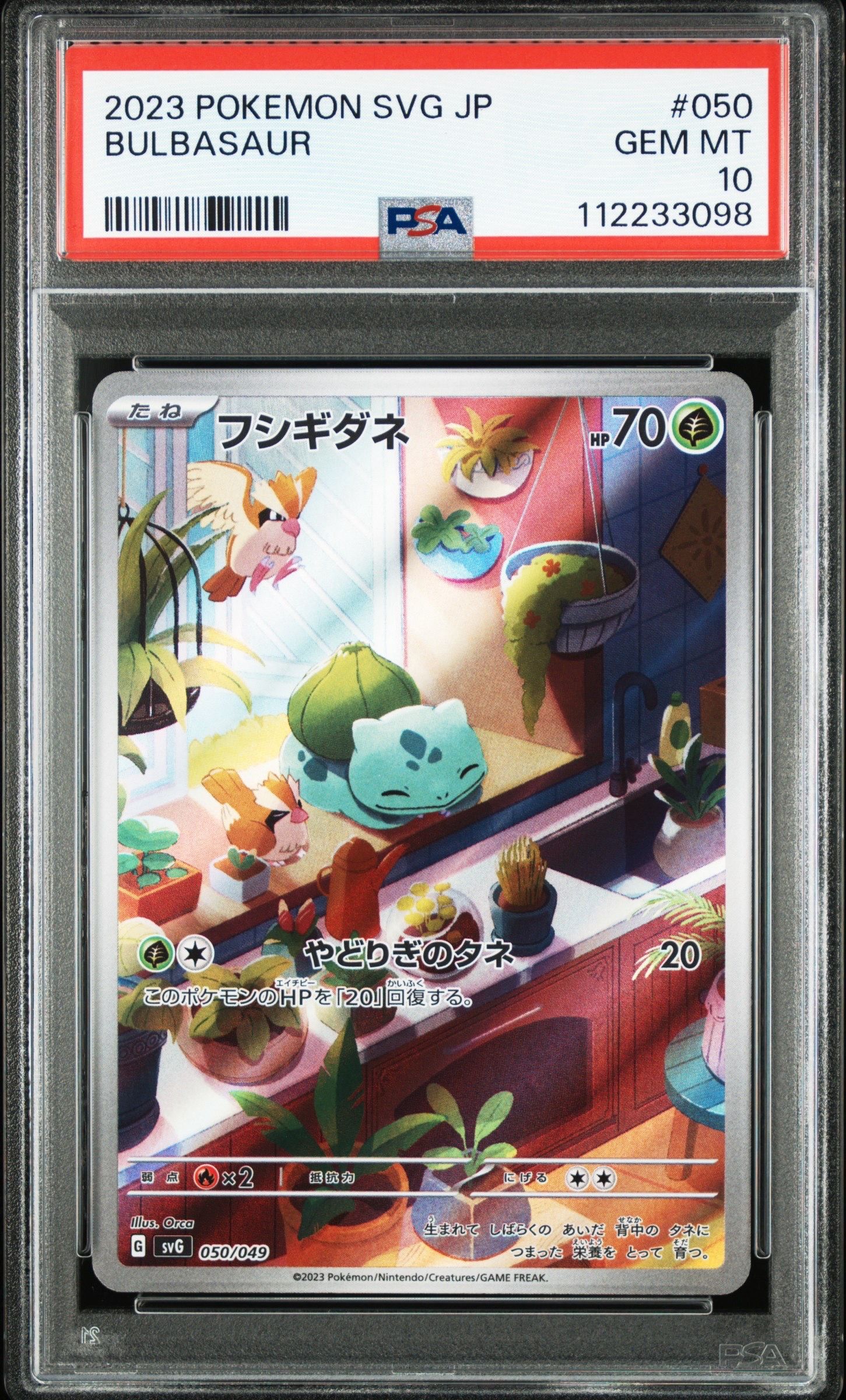 フシギダネ :フルイラスト [SVG 050/049](スペシャルデッキセットex「フシギバナ・リザードン・カメックス」)