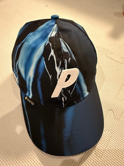PALACE Gore-Tex P 6-Panel "K-Nein Print"