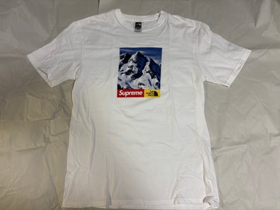 Supreme x The North Face Mountain Tee "White"