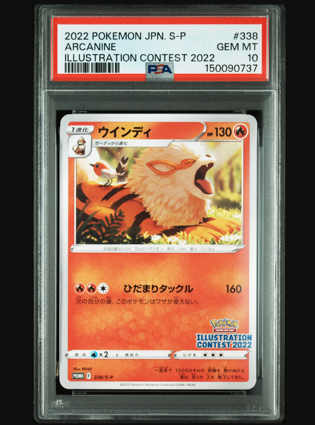 PSA9】わるいデンリュウ ☆ : 旧裏 [neo4 No.181](ポケモンカード☆neo
