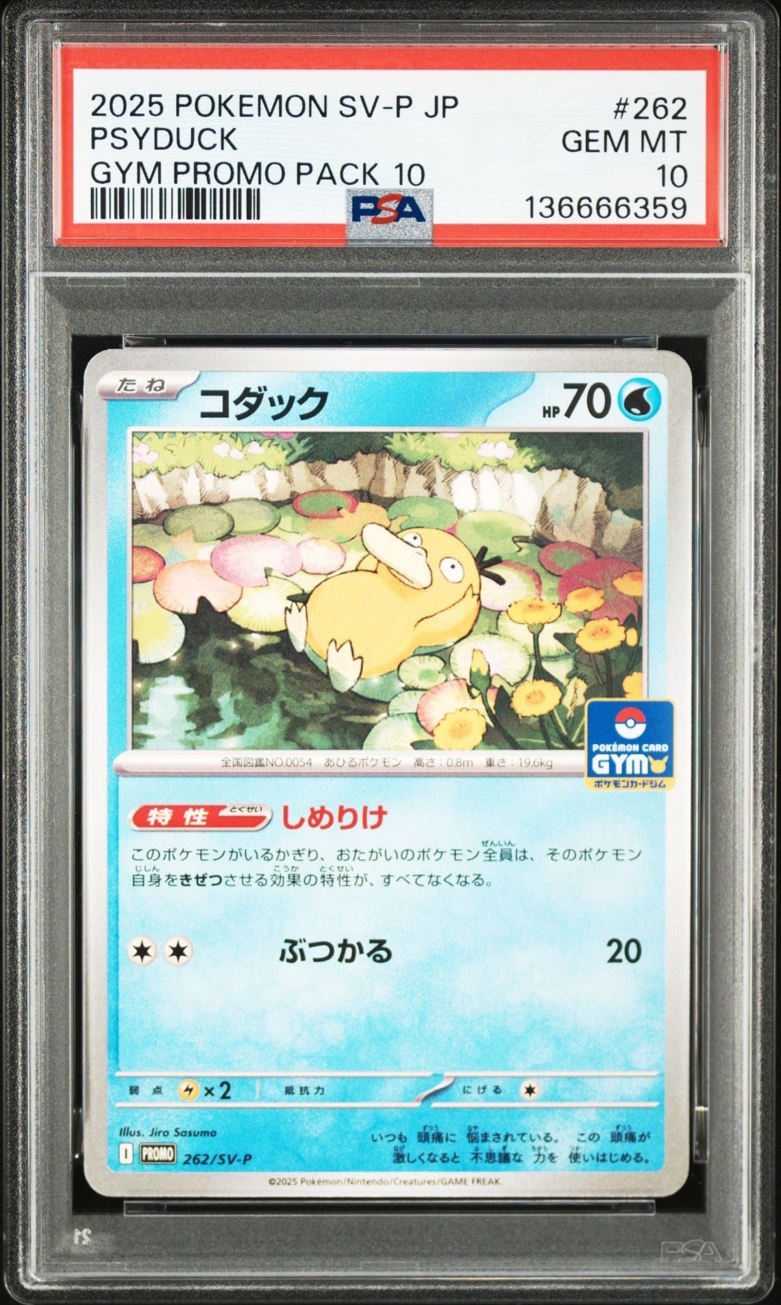 コダック P [SV-P 262](プロモカードパック「第10弾」)