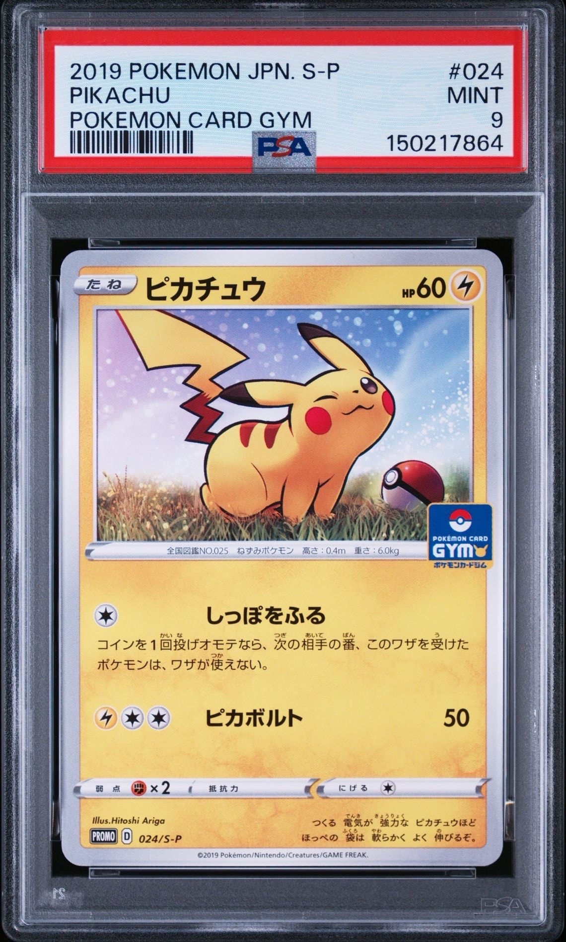ピカチュウ AR[s12a 205/172](ハイクラスパック「VSTARユニバース」)の