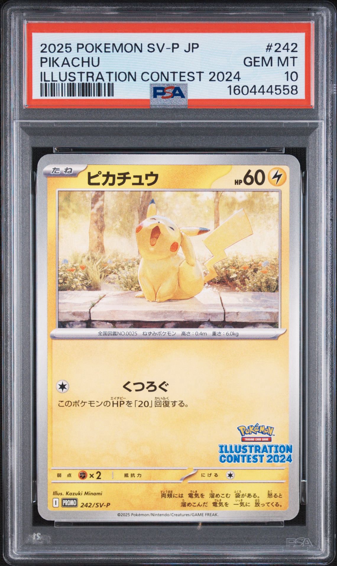ピカチュウ [SV-P 242](プロモカードパック「イラストレーション