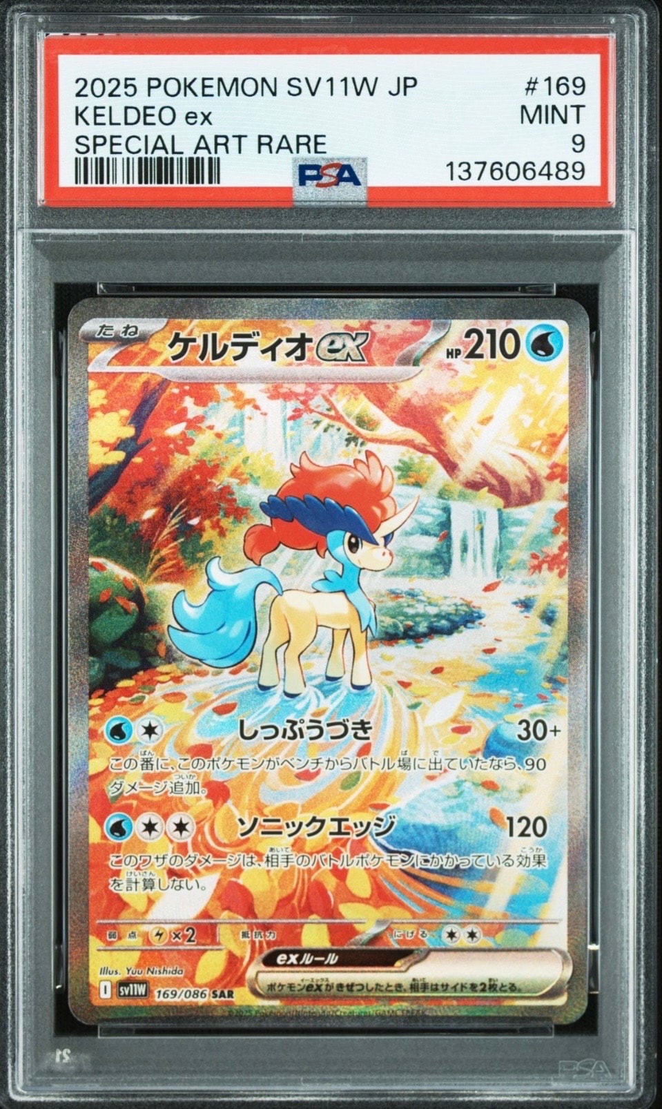 ゼクロムGX SR: 争奪戦プロモ[SM-P 239](プロモーションカード「SM-P