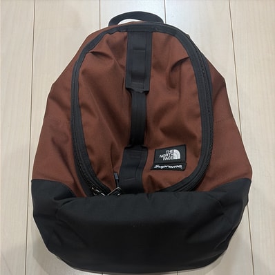 Supreme x The North Face Steep Tech Backpack "Brown"
