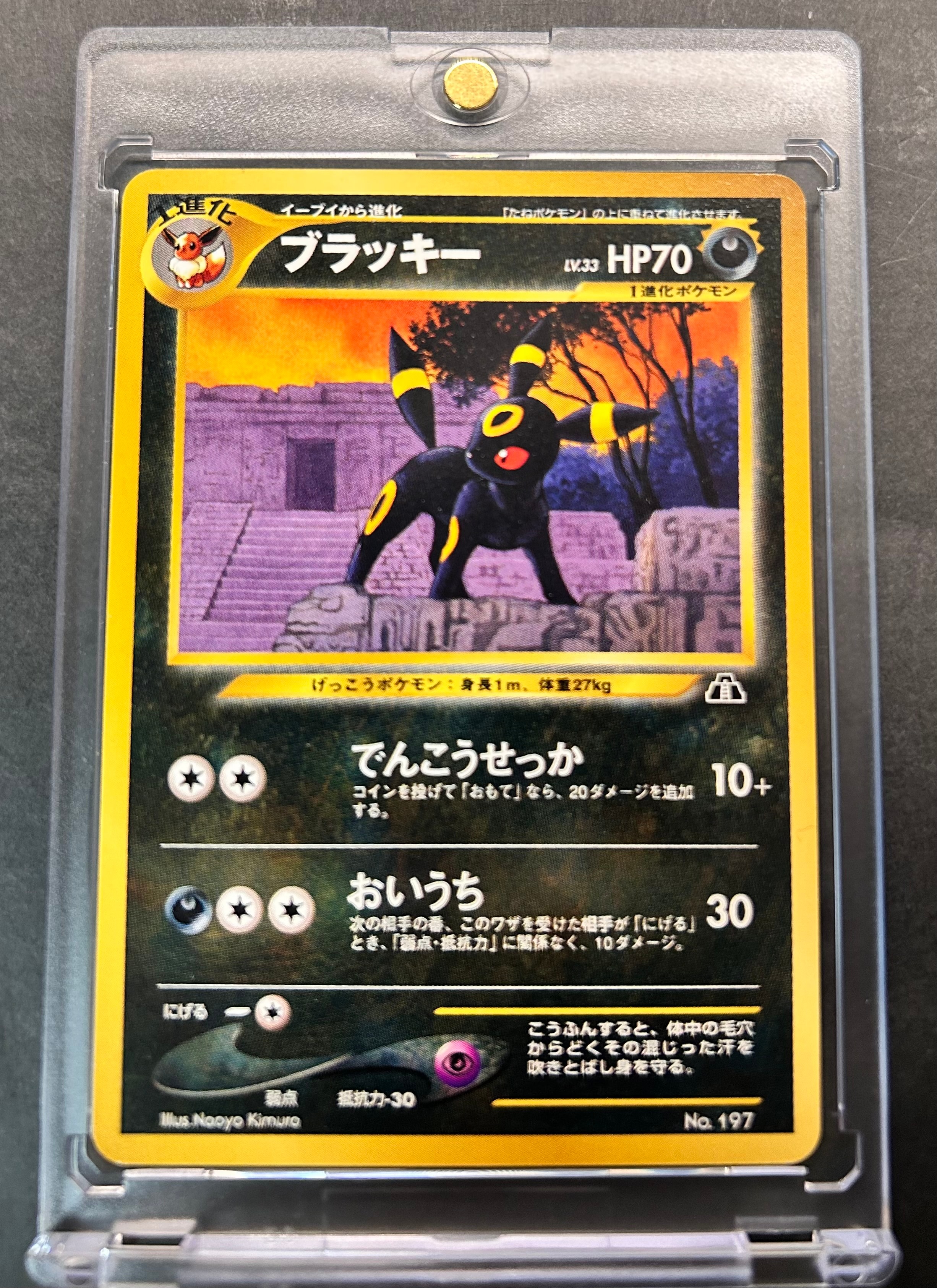 PSA10】ブラッキープレミアムファイル2: 旧裏[neoP2 No.197