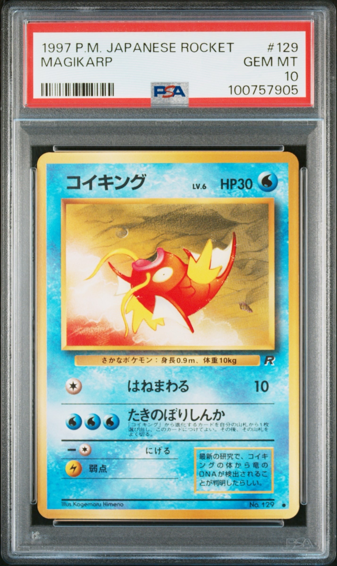 コイキング ○ : 旧裏 [PMCG4 No.129] psa10世界で152枚 コイキング