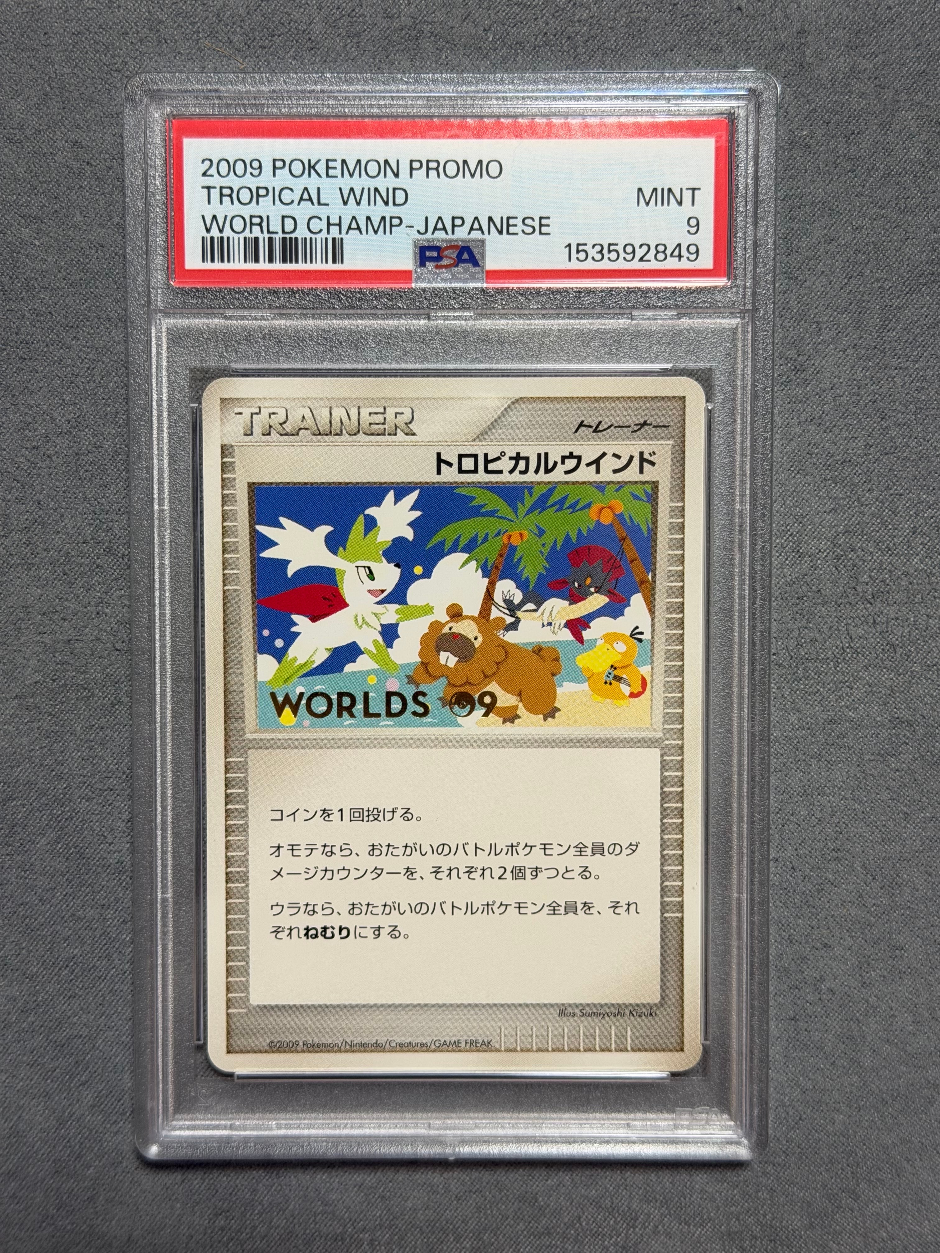 トロピカルウインド2009: プロモ[DPt-P](プロモーションカード「DPt-P」)