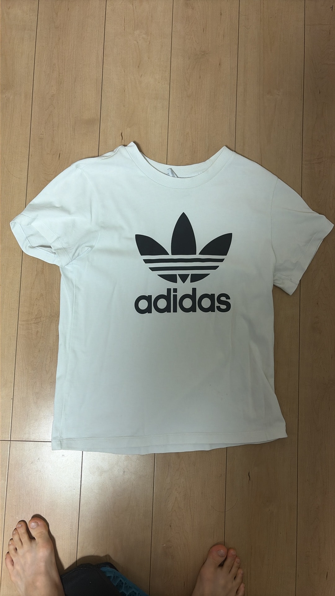 adidas Adicolor Trefoil Short Sleeve T-Shirt "White"