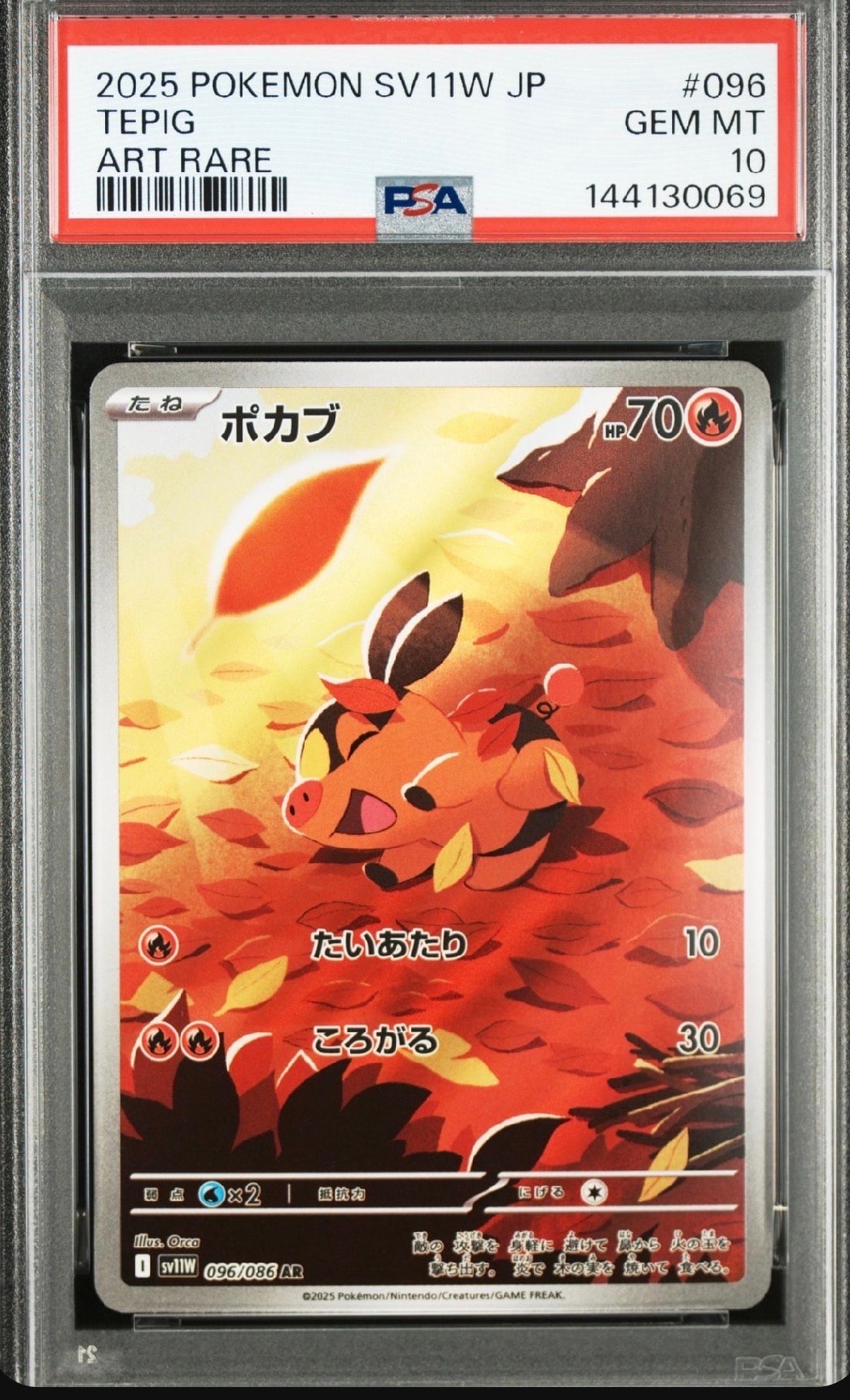 ポカブ AR [SV11W 096/086](拡張パック「ホワイトフレア」)の新品/中古