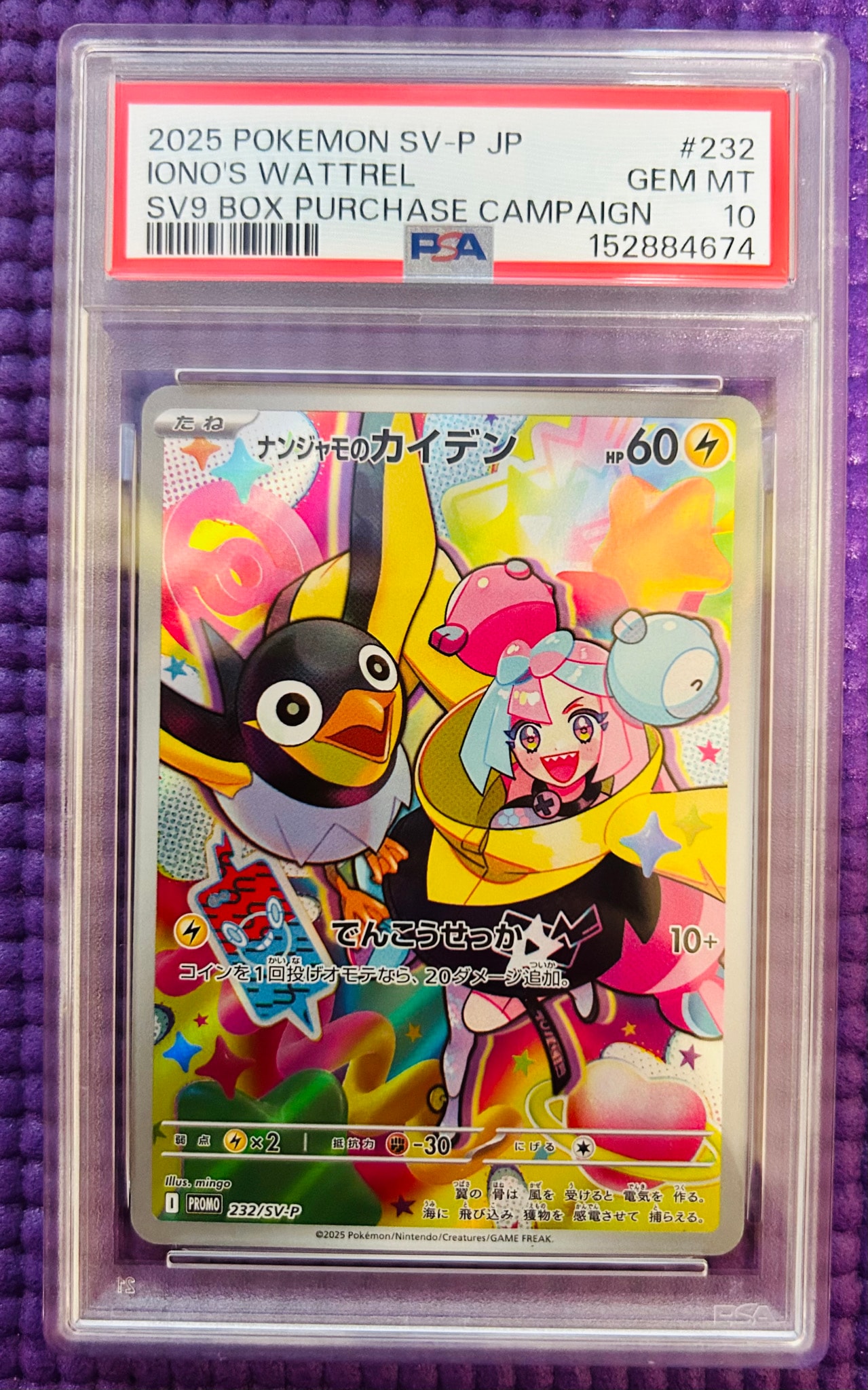 ナンジャモのカイデン P [SV-P 232](プロモーションカード「拡張パック