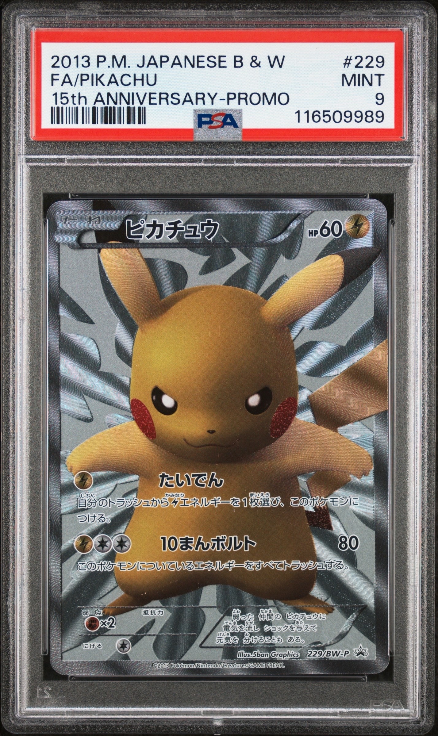 ピカチュウ P [BW-P 229/BW-P](プロモーションカード「ポケモン