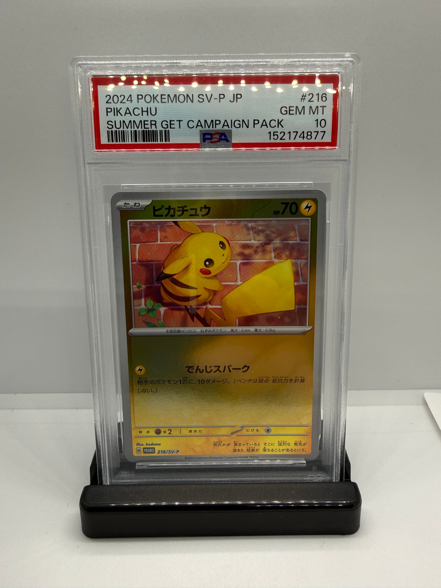 PSA10】ピカチュウ P [SV-P 216](プロモカードパック「ポケカの夏が