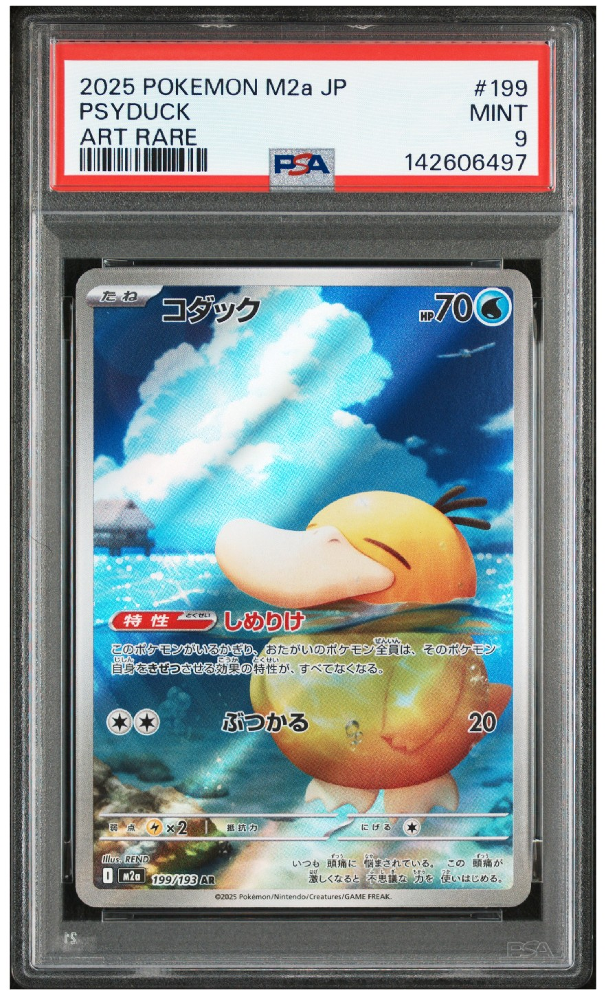 コダック AR [M2a 199/193](ハイクラスパック「MEGAドリームex」)