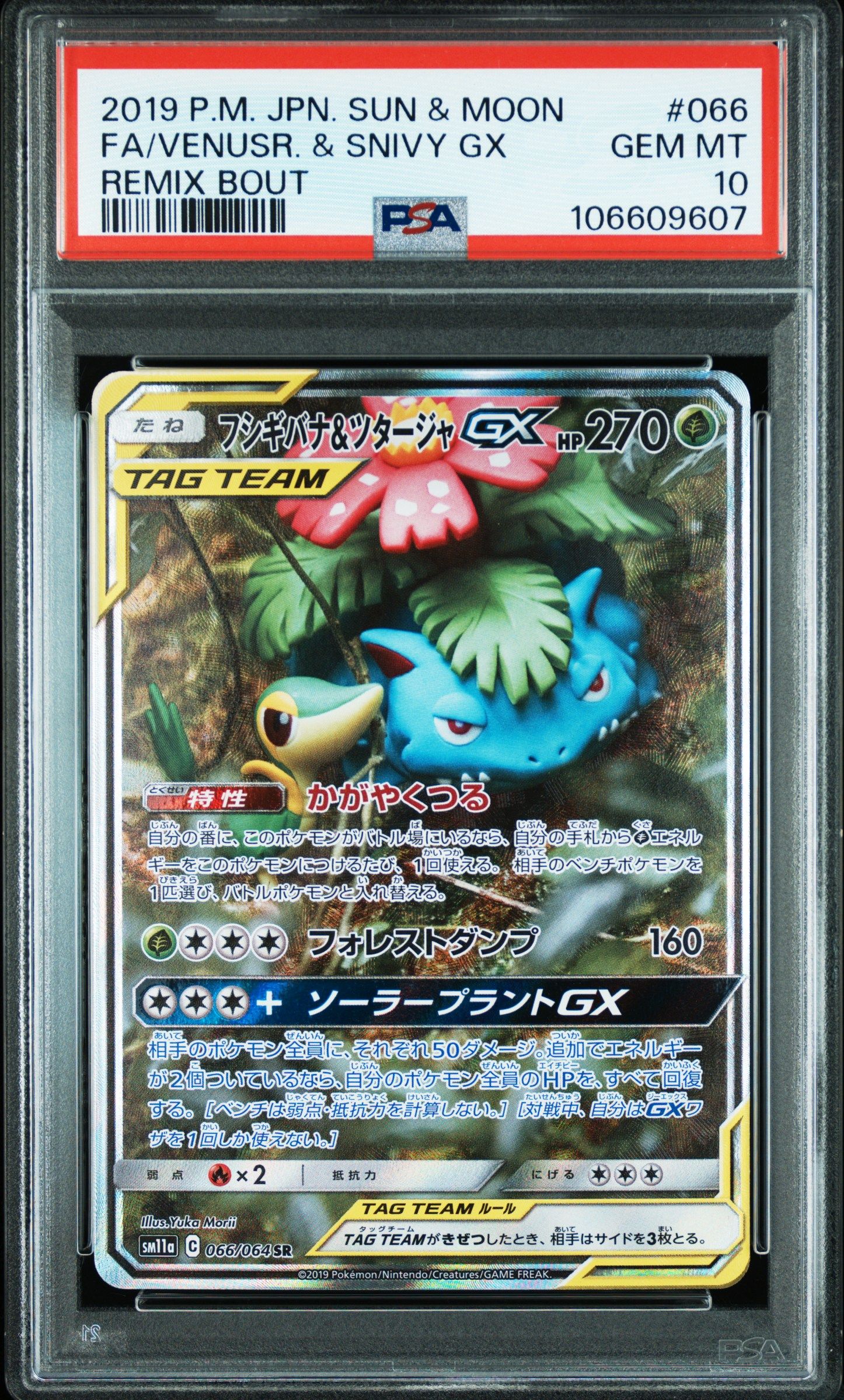 フシギバナ&ツタージャGX SR: SA[SM11a 066/064](強化拡張パック「リミックスバウト」)