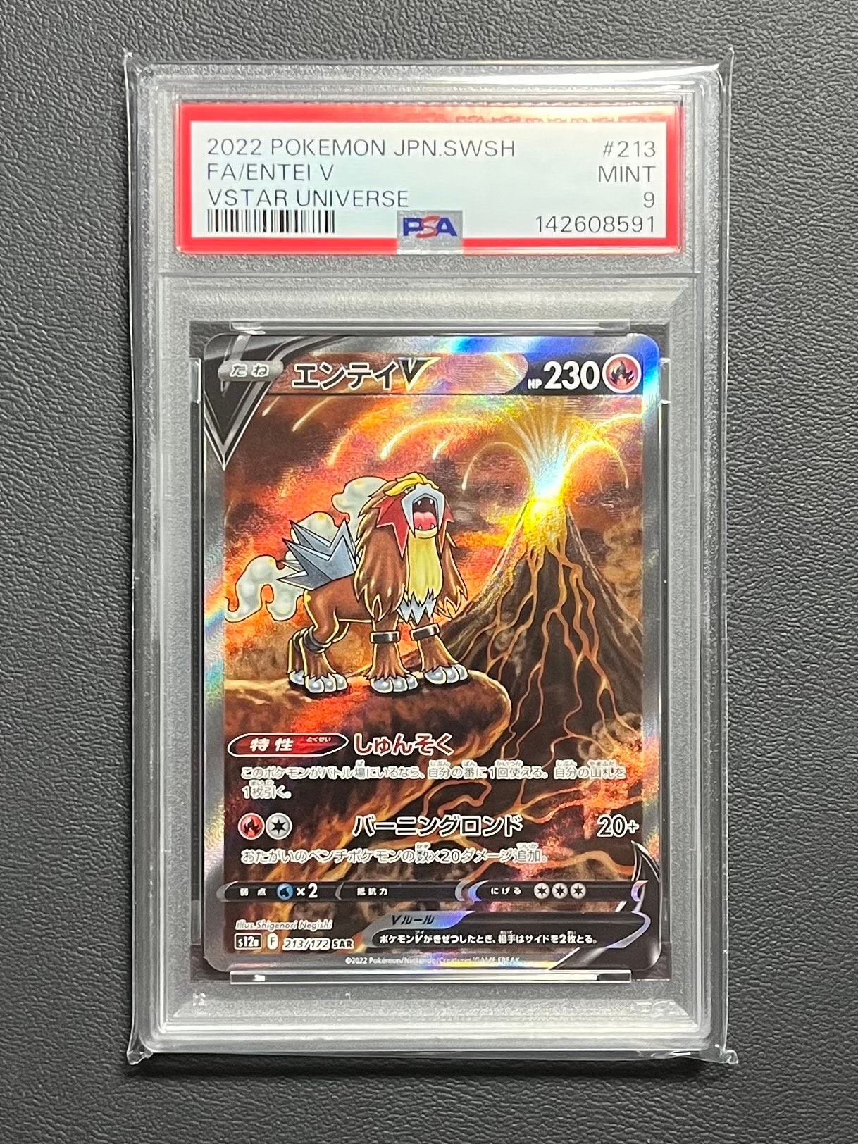 PSA10】エンテイV SAR[s12a 213/172](ハイクラスパック「VSTAR