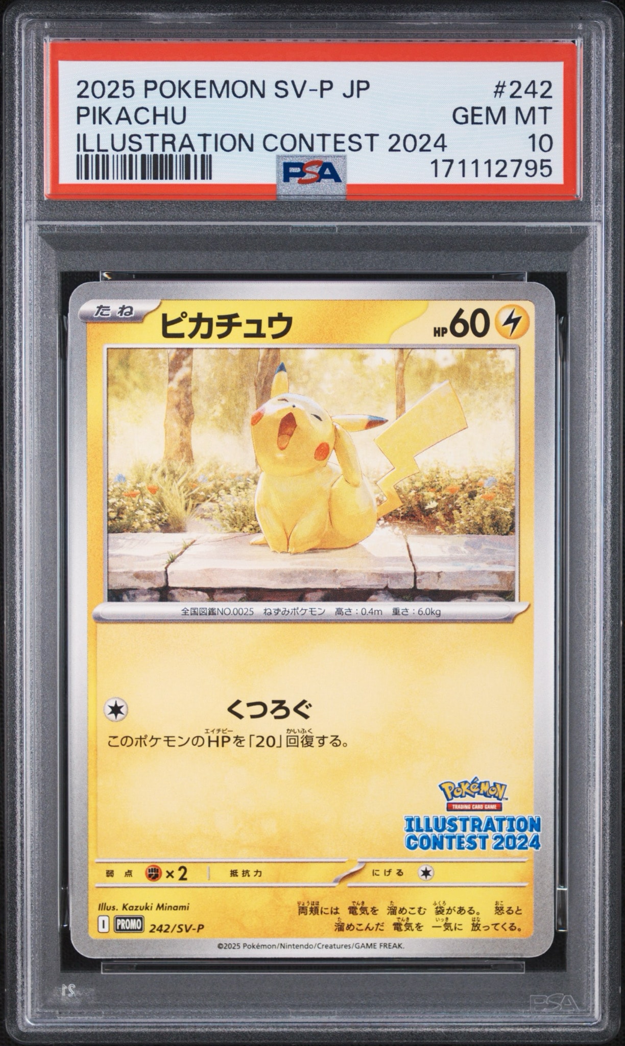 ピカチュウ [SV-P 242](プロモカードパック「イラストレーション