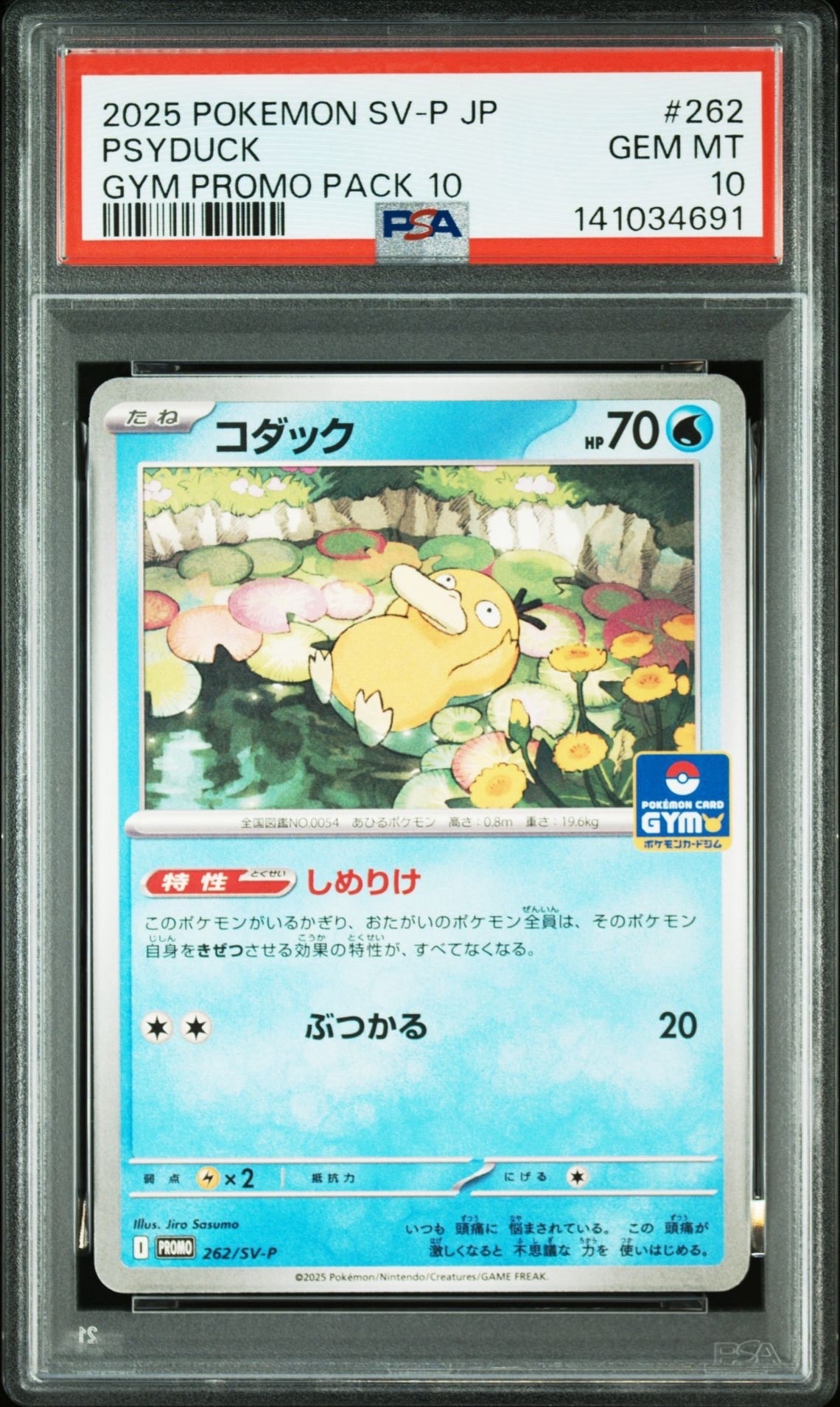 コダック P [SV-P 262](プロモカードパック「第10弾」)