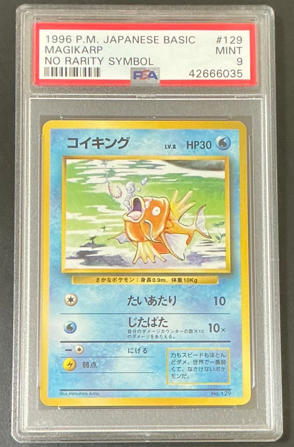 コイキング 初版 : 旧裏 [PMCG1-1](拡張パック「ポケットモンスター