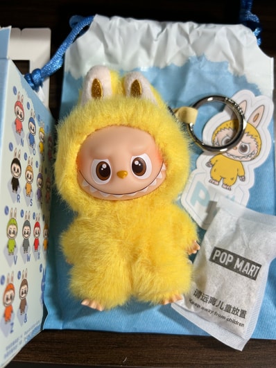 POP MART THE MONSTERS (LABUBU) Pin for Love Series-Vinyl Plush Pendant (N-Z) P