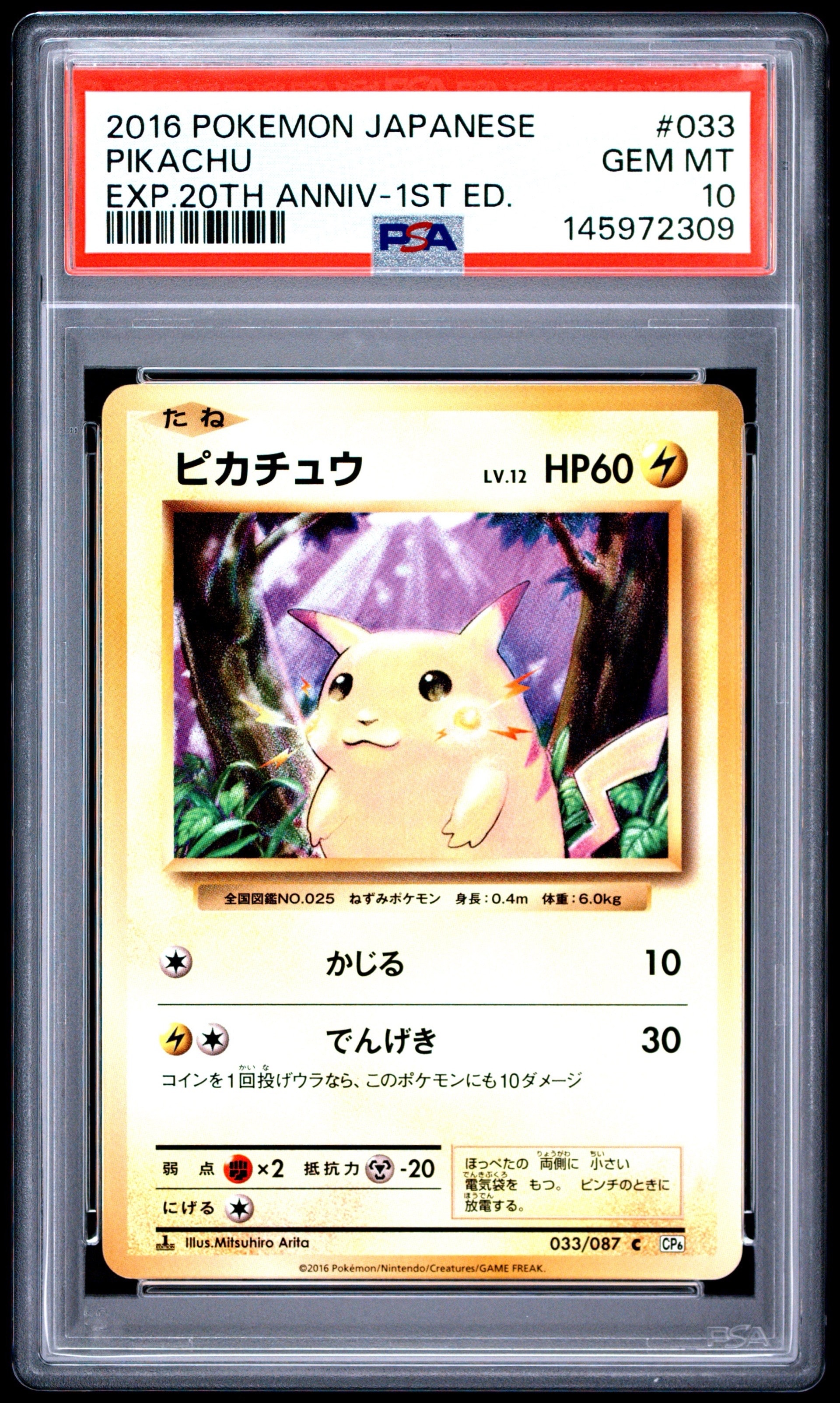 ピカチュウ C :1ED [CP6 033/087](コンセプトパック