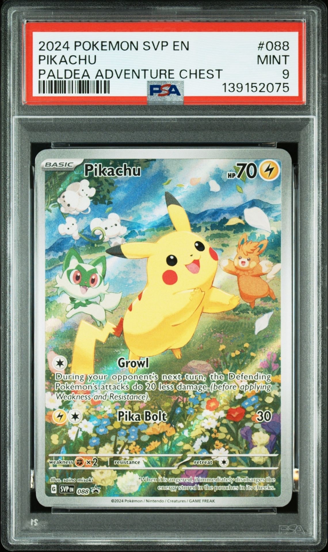 ピカチュウ P [SVP EN 088]【英語版】(スカーレット&バイオレット「プロモーションカード」)