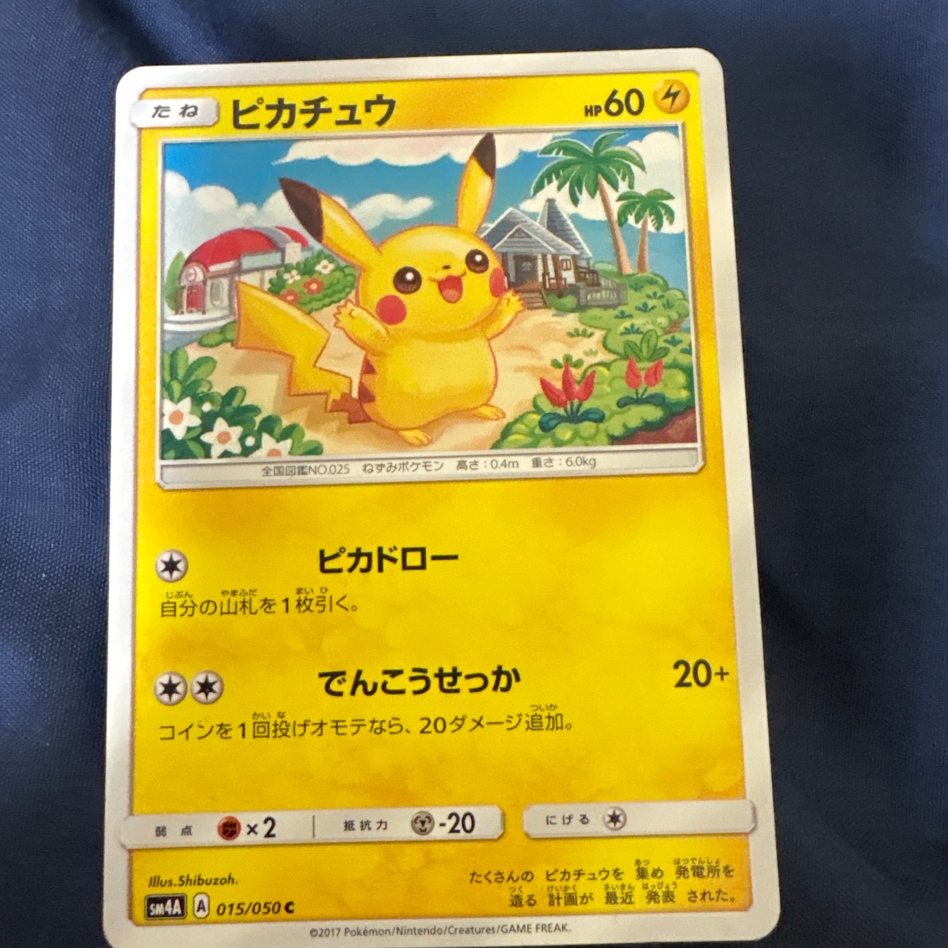 ヨコハマのピカチュウ: プロモ[SM-P 282](プロモーションカード「SM-P