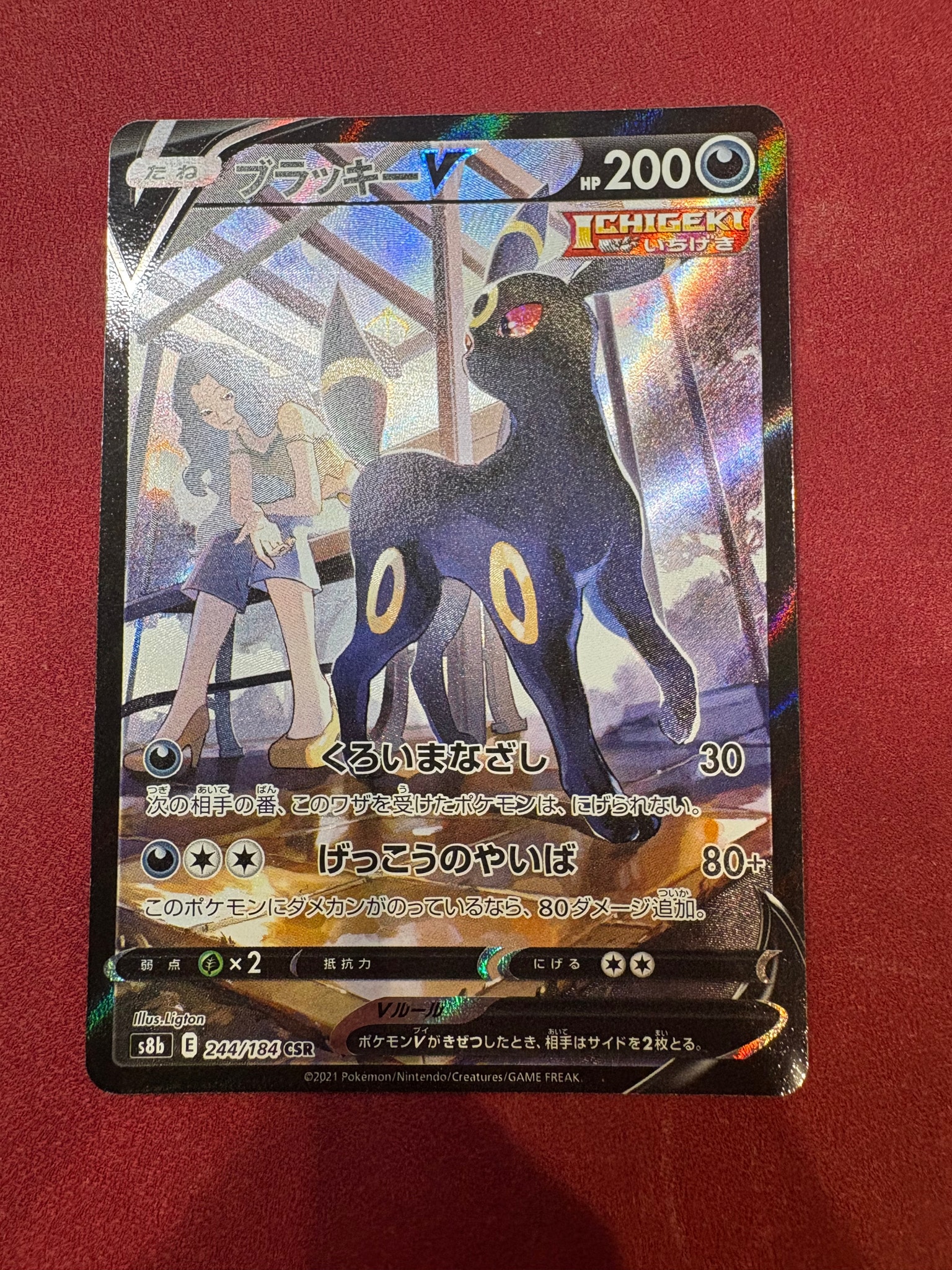 PSA10】ブラッキーV CSR[S8b 244/184](ハイクラスパック「VMAX